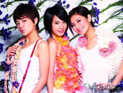 受 毒奶粉 事件影響 飛輪海s.h.e巡演喊停